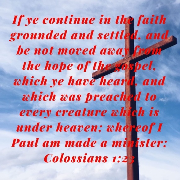 Meet your Posher, Alonna - Picture 2 of 4